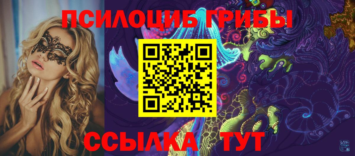 Псилоцибиновые грибы MAGIC MUSHROOMS  Вход с VPN  Курчатов 