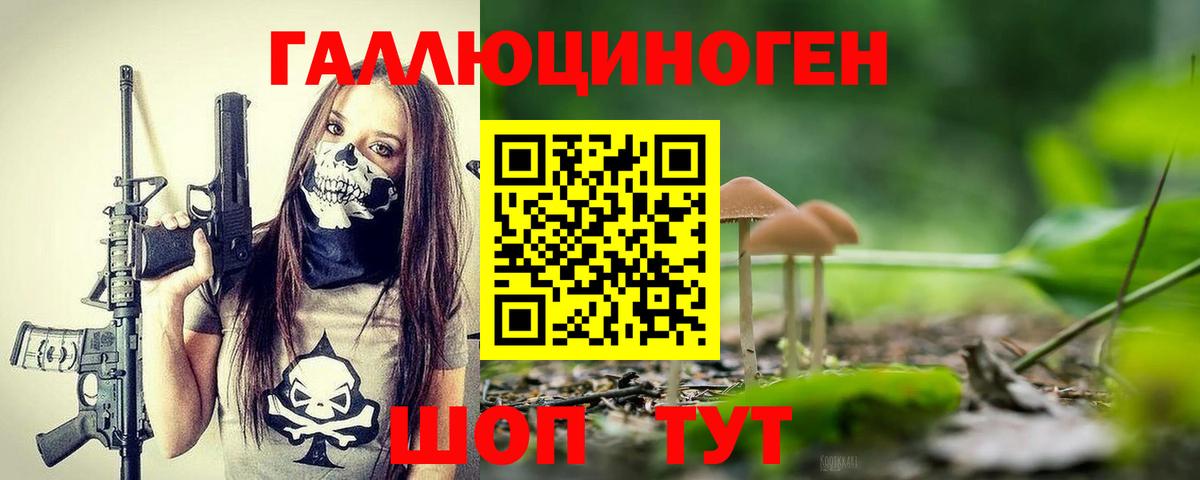 Галлюциногенные грибы MAGIC MUSHROOMS Курчатов