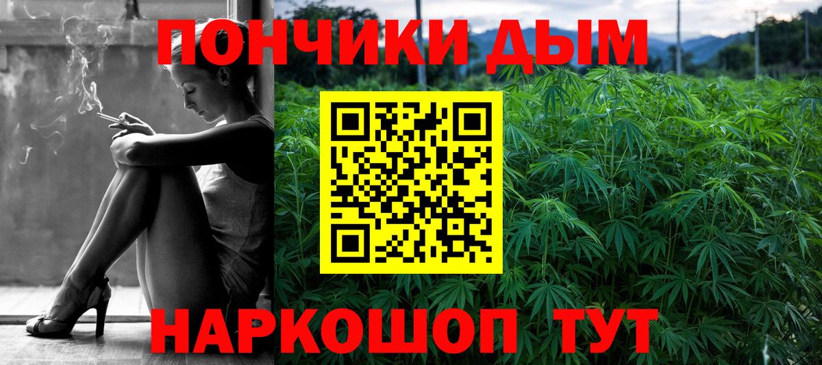 Курчатов  Бошки марихуана Ganja  Бошки марихуана Ganja  Вход с VPN 